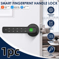 Smart Biometric Lock
